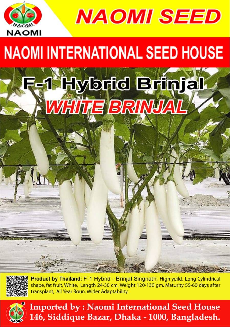 সাদা বেগুনের বীজ ( F1 - Hybrid ) WHITE BRINJAL