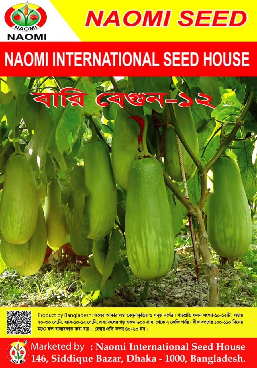 বারি বেগুন ১২