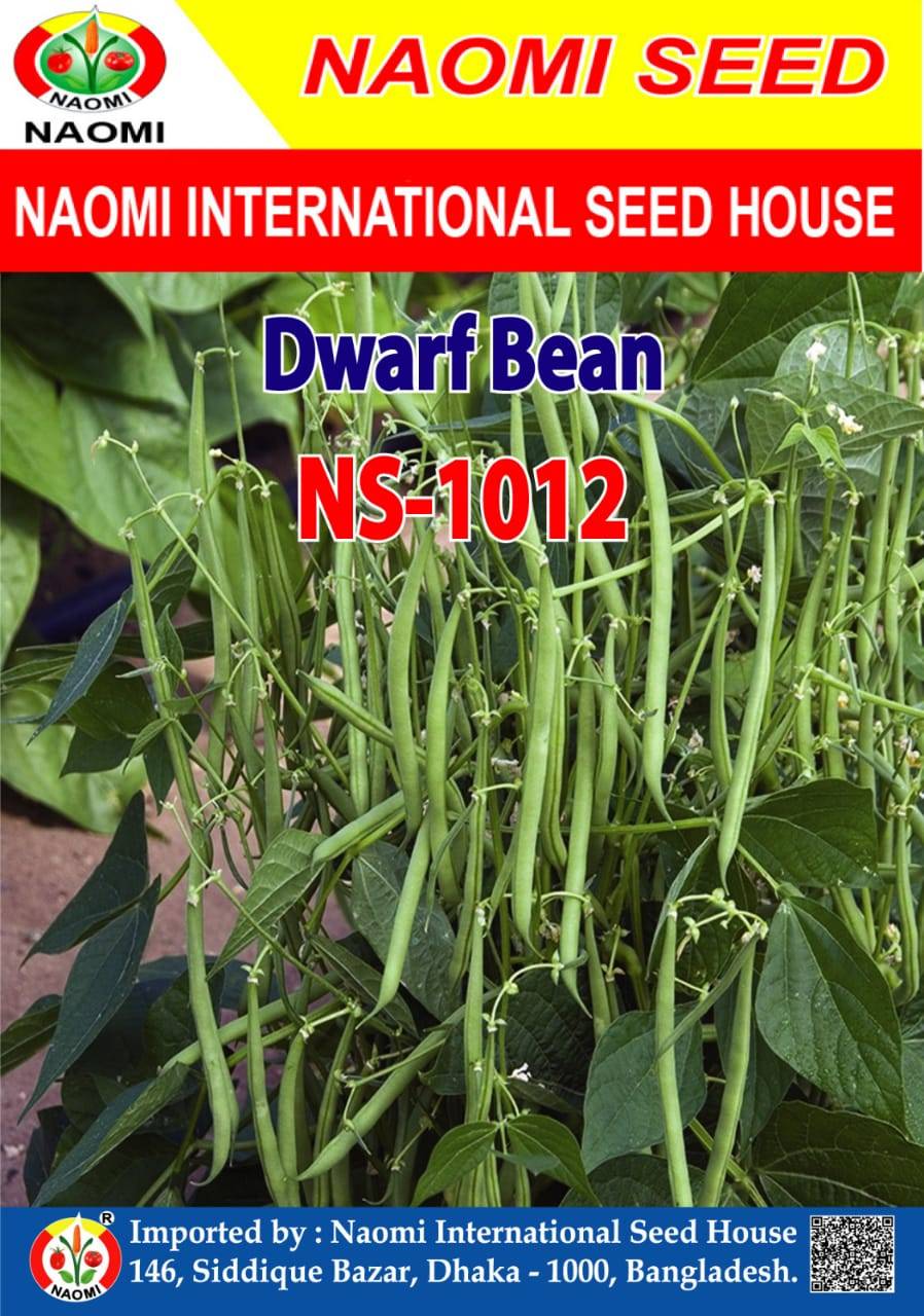 বেগুন শিম | Dwarf Bean NS-1012