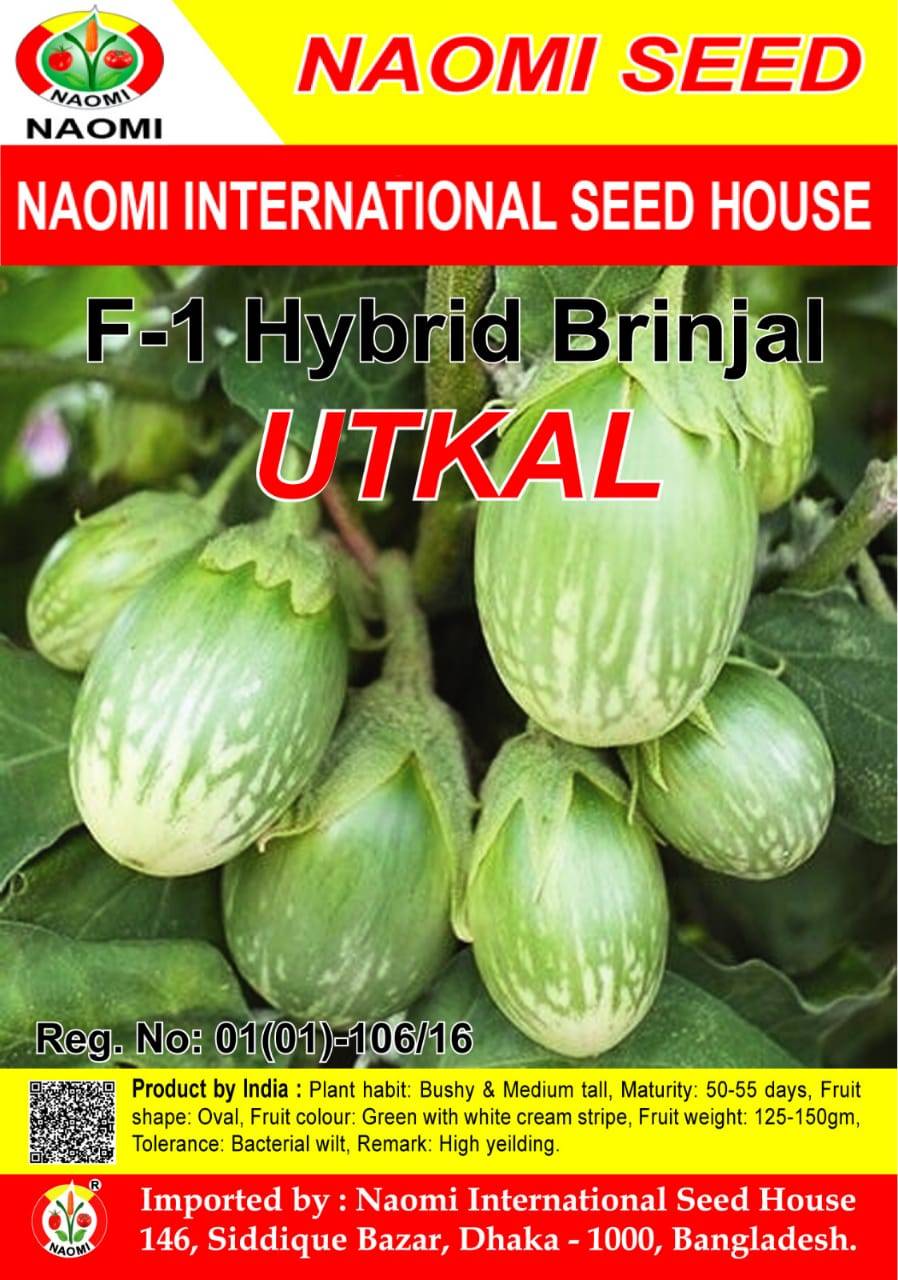 Brinjal / বেগুন ( F1 - Hybrid ) UTKAL