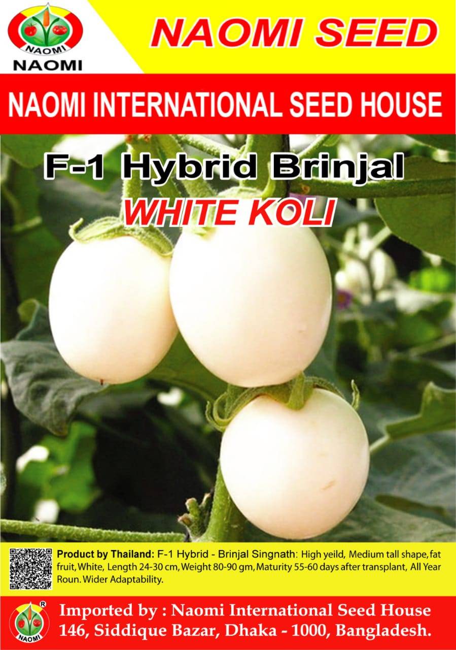 Brinjal / বেগুন ( F1 - Hybrid ) WHITE KOLI