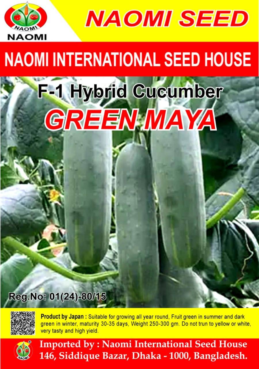 Cucumber শসা ( F1 - Hybrid ) Green Maya