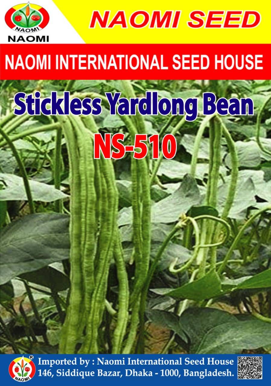 Stickless Yardlong Bean বরবটি ( F1 - Hybrid ) NS-510
