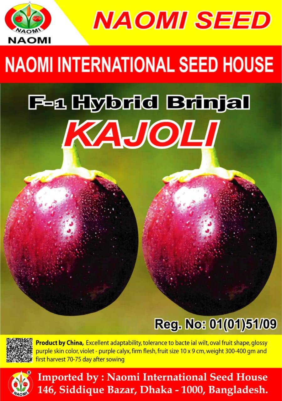 Brinjal / বেগুন ( F1 - Hybrid ) KAJOLI