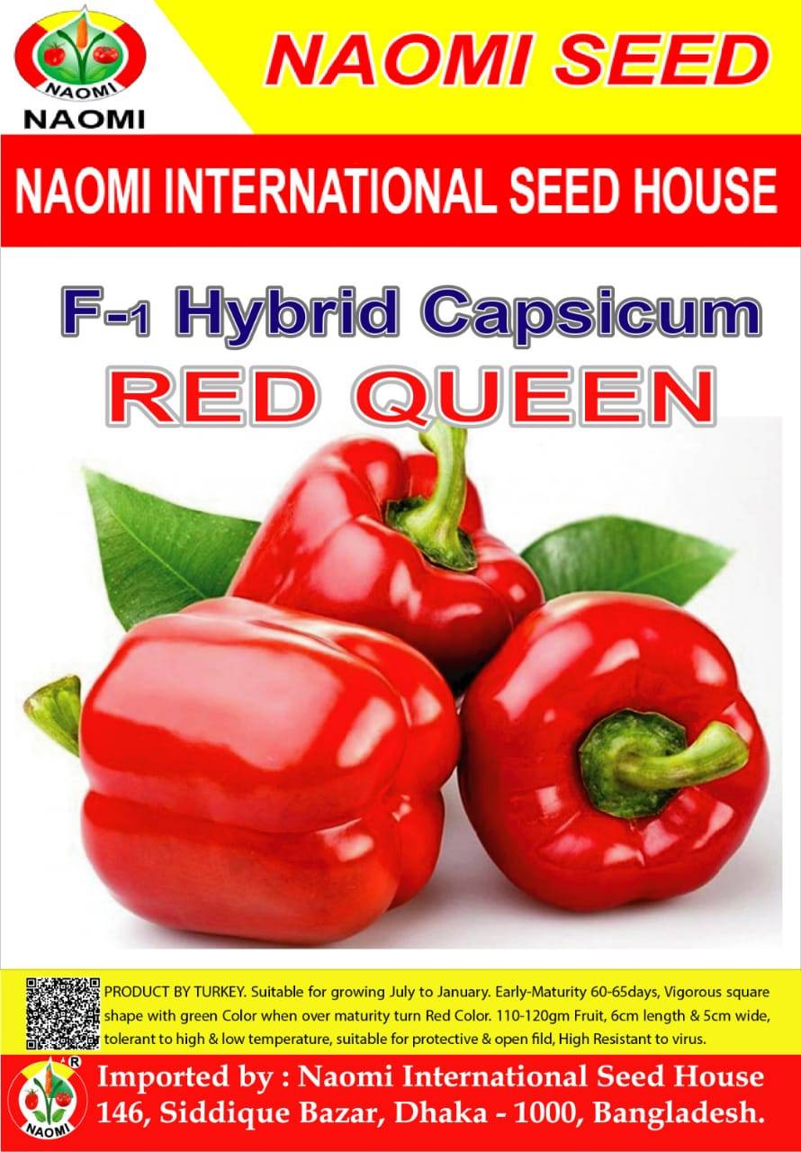 হাইব্রিড লাল ক্যাপসিকাম বীজ – Red Queen | উজ্জ্বল রঙ ও উচ্চ ফলন