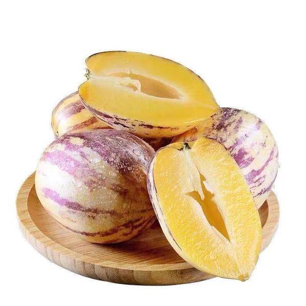 হাইব্রিড পেপিনো মেলন বীজ | Pepino Melon Seeds