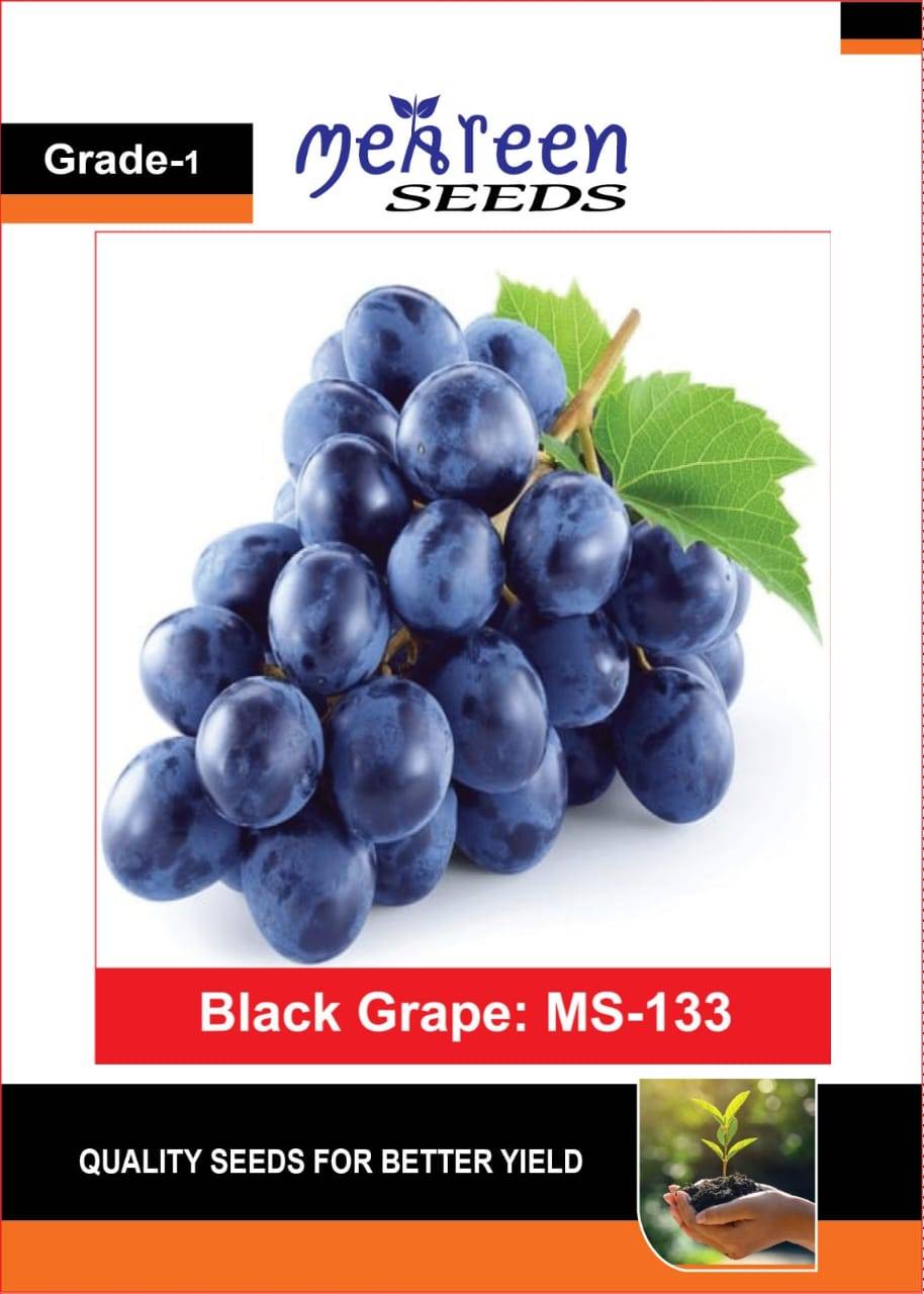 হাইব্রিড কালো আঙুর বীজ | Black Finger Grape Seeds
