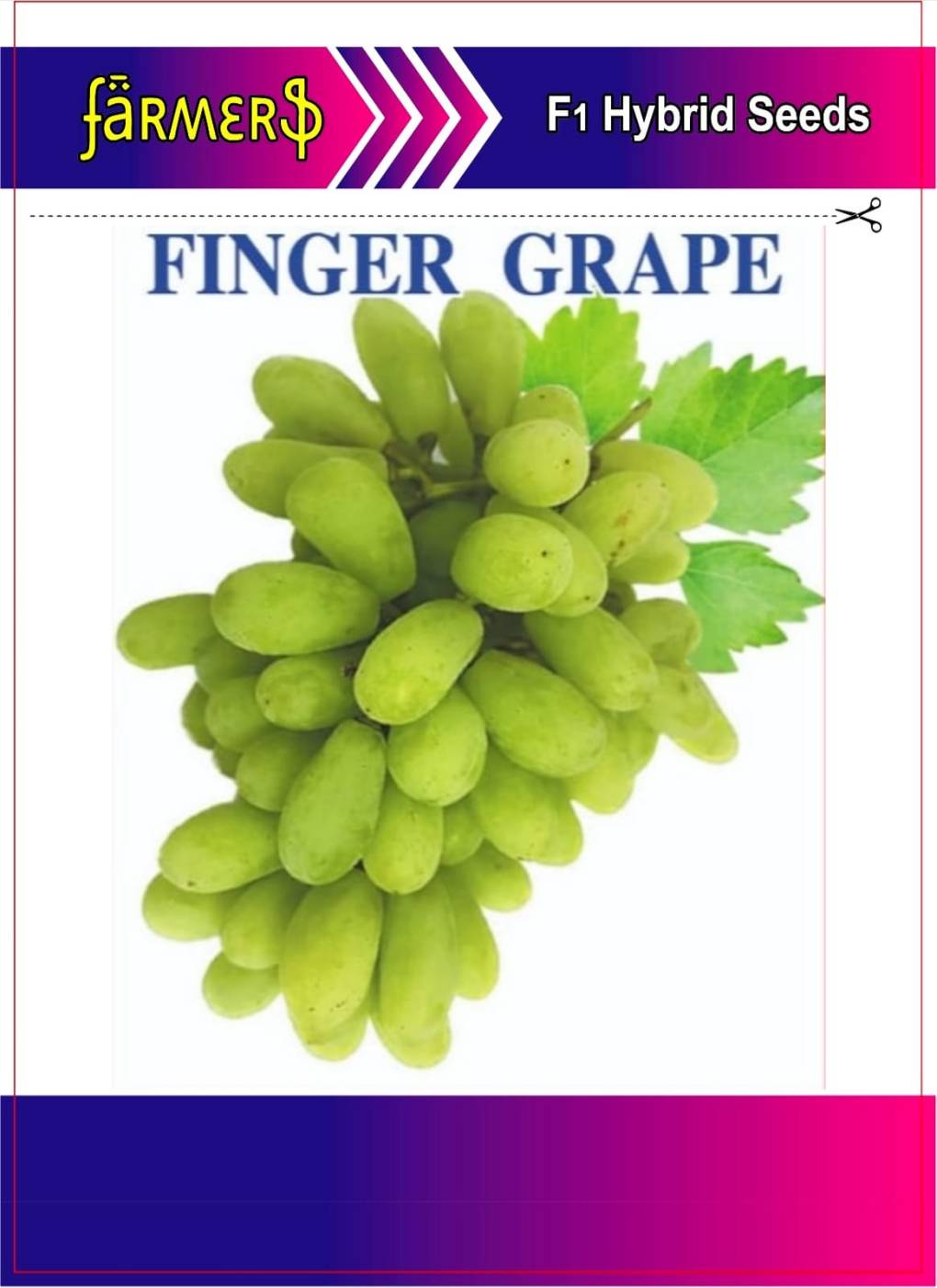 হাইব্রিড ফিঙ্গার আঙ্গুরের বীজ | Finger Grape Seeds