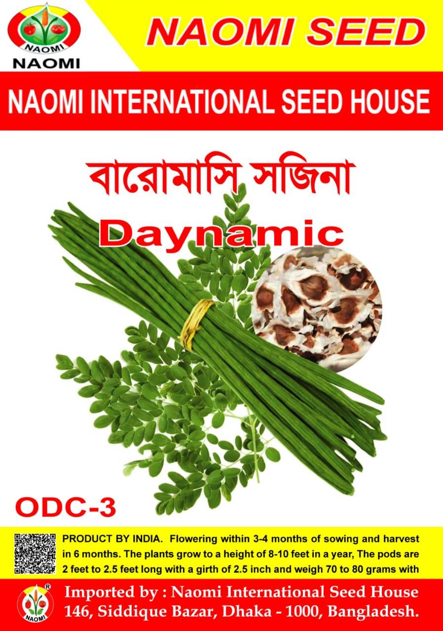 হাইব্রিড সজনে বীজ | Moringa Seeds - DAYNAMIC