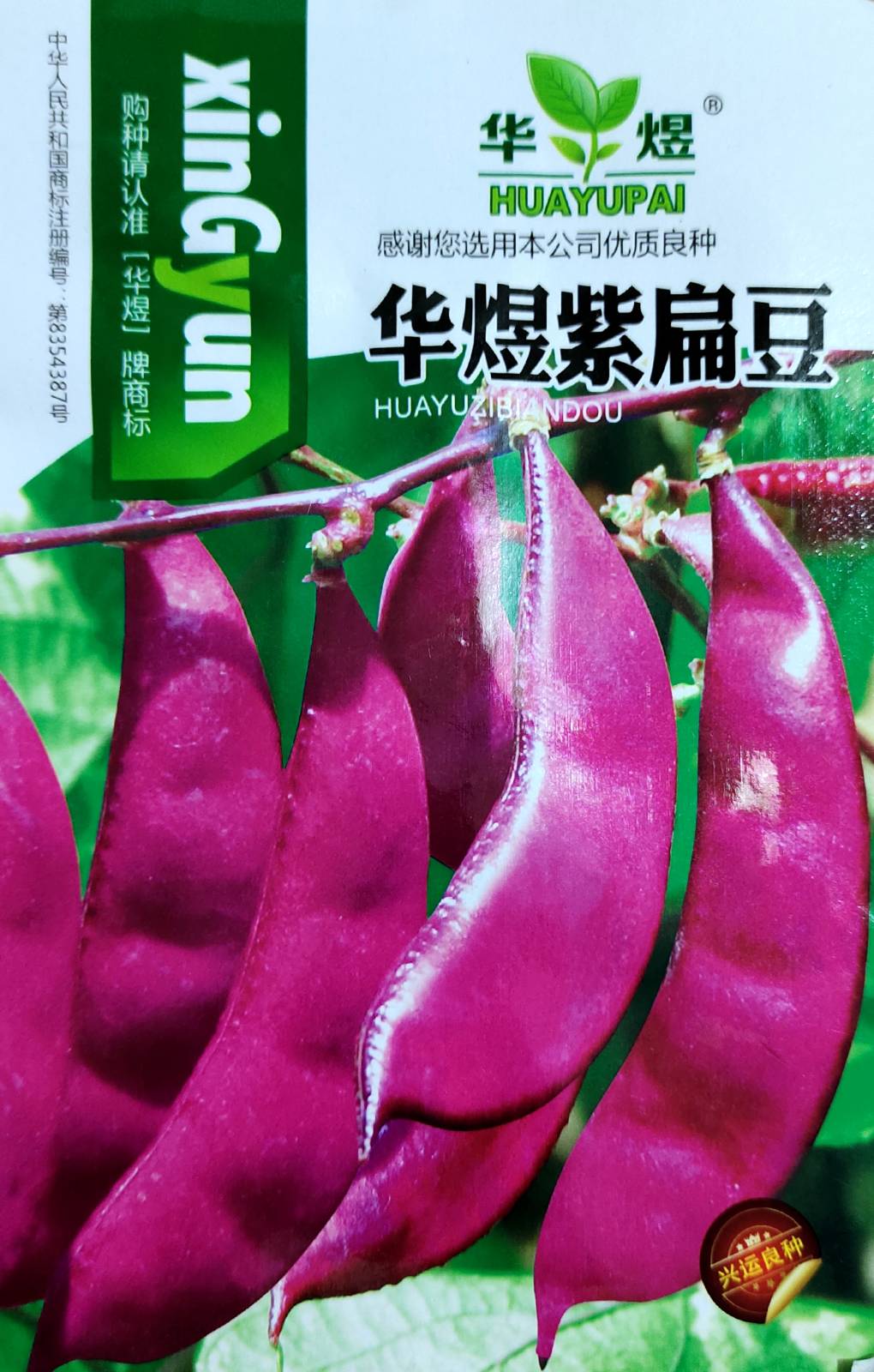 F1 হাইব্রীড হাইসিন্থ শিমের বীজ | F1 Hybrid Hybrid Purple Bean ( Chainis)