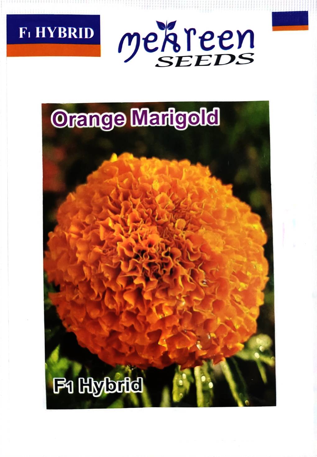 F1 হাইব্রিড কমলা গাঁদা | Orange Marigold