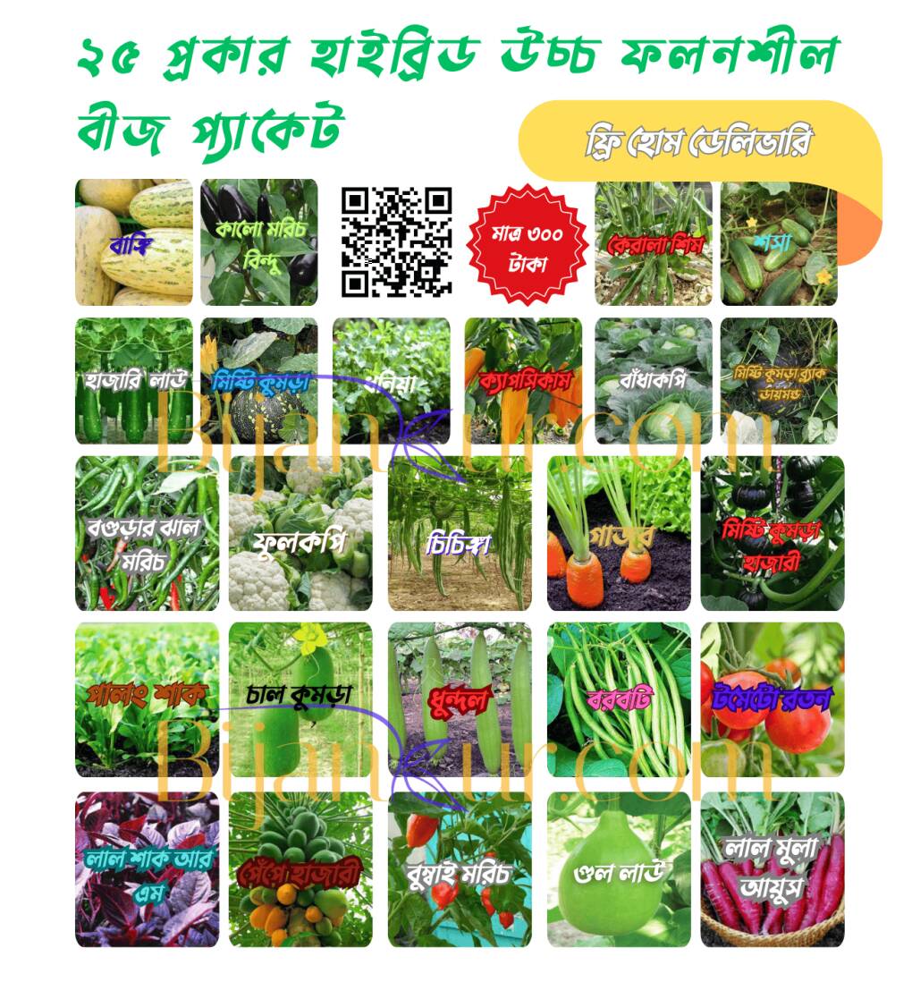 ২৫ ধরনের হাইব্রিড উচ্চফলনশীল বীজের সম্পূর্ণ প্যাক