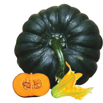 মিষ্টি কুমড়া ব্লাক ডাইমন্ড ২০০ গ্রাম