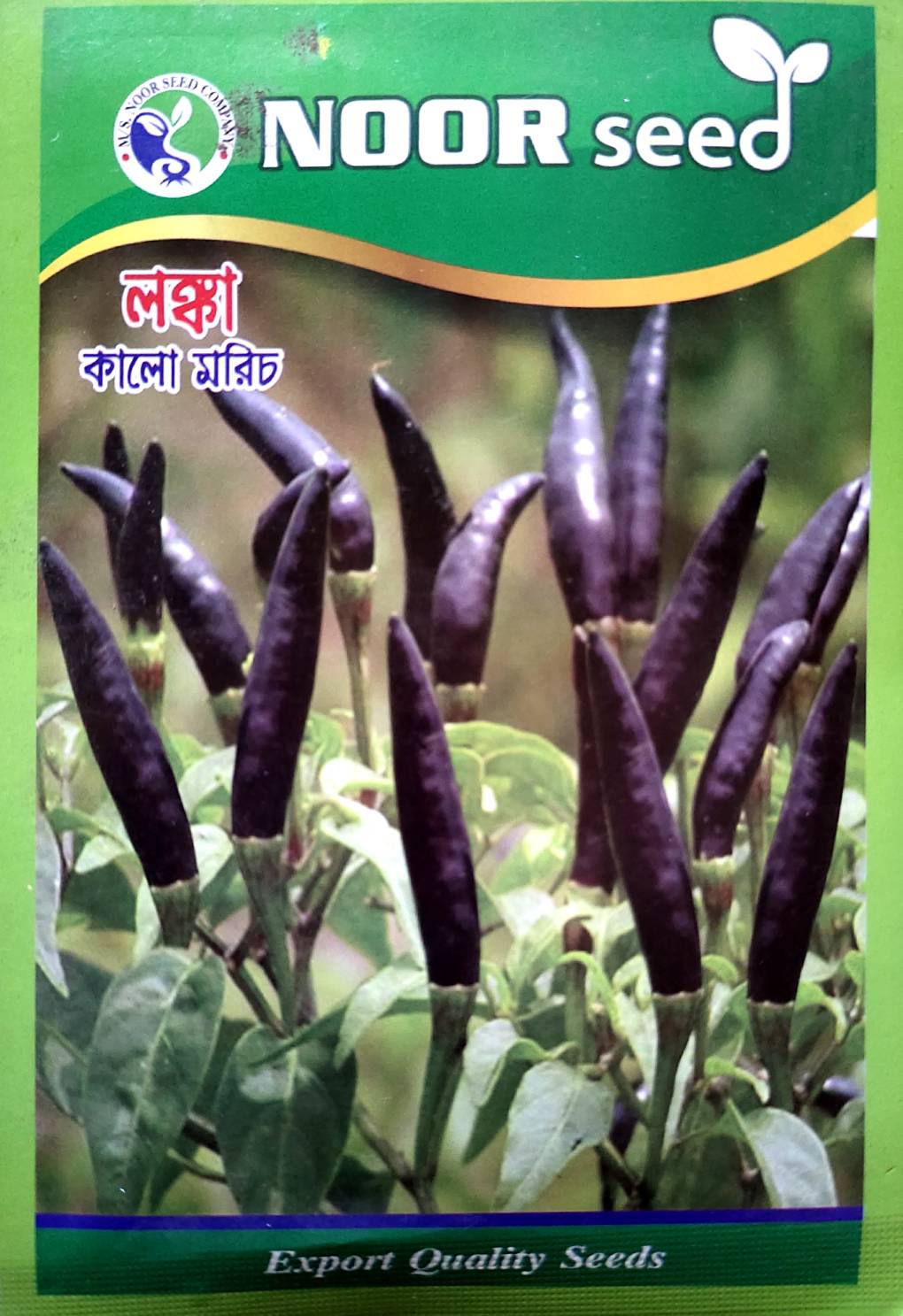 কালো মরিচ লঙ্কা