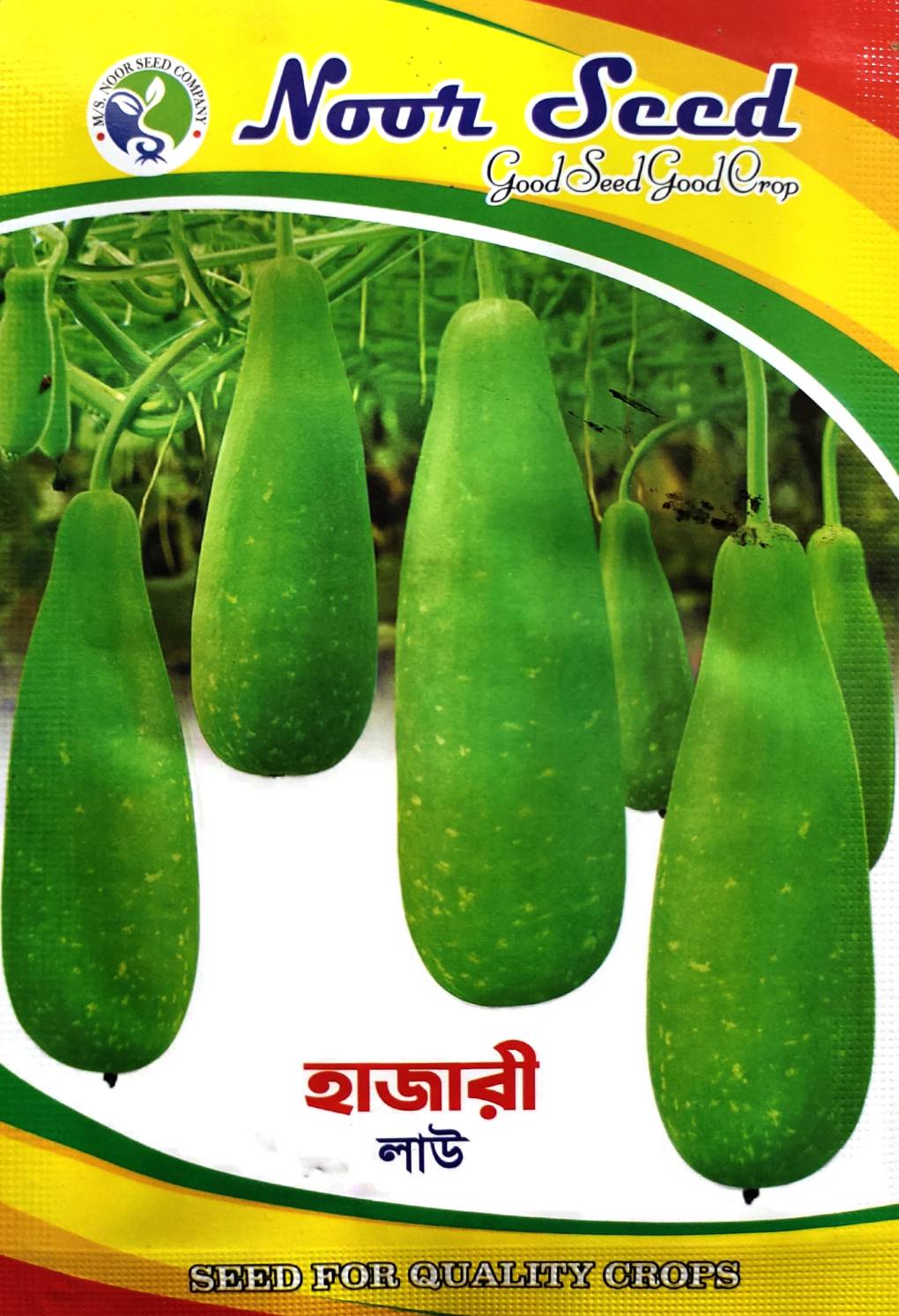 হাজারী লাউ