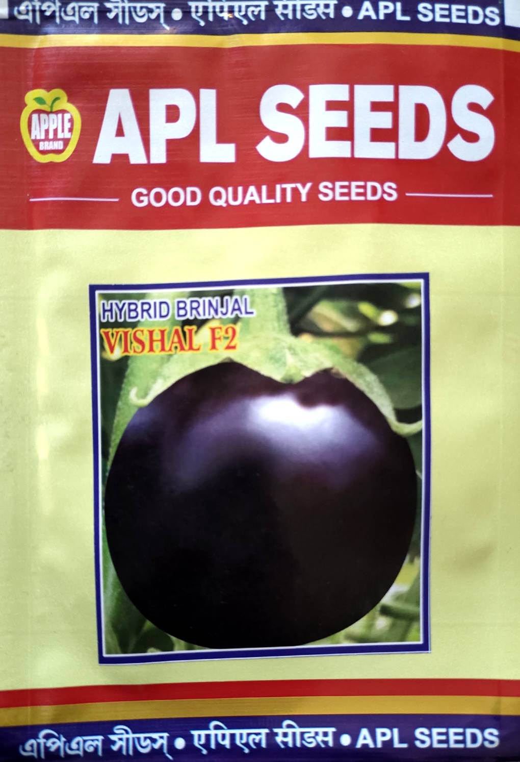 HYBRID BRINJAL VISHALB F2