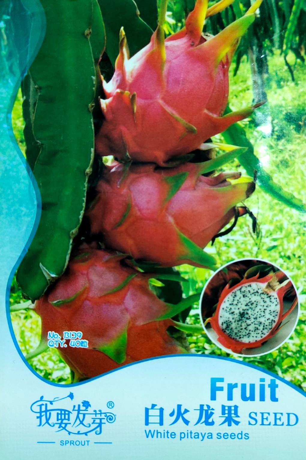 সাদা ডাগন বিজ