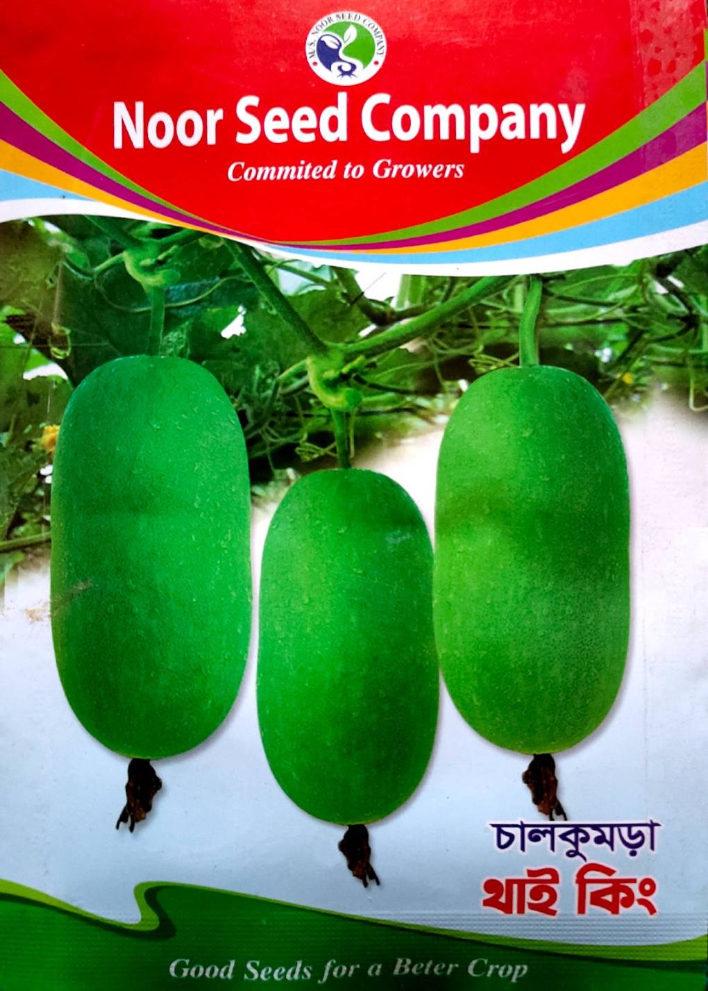 চালকুমড়া  থাই কিং