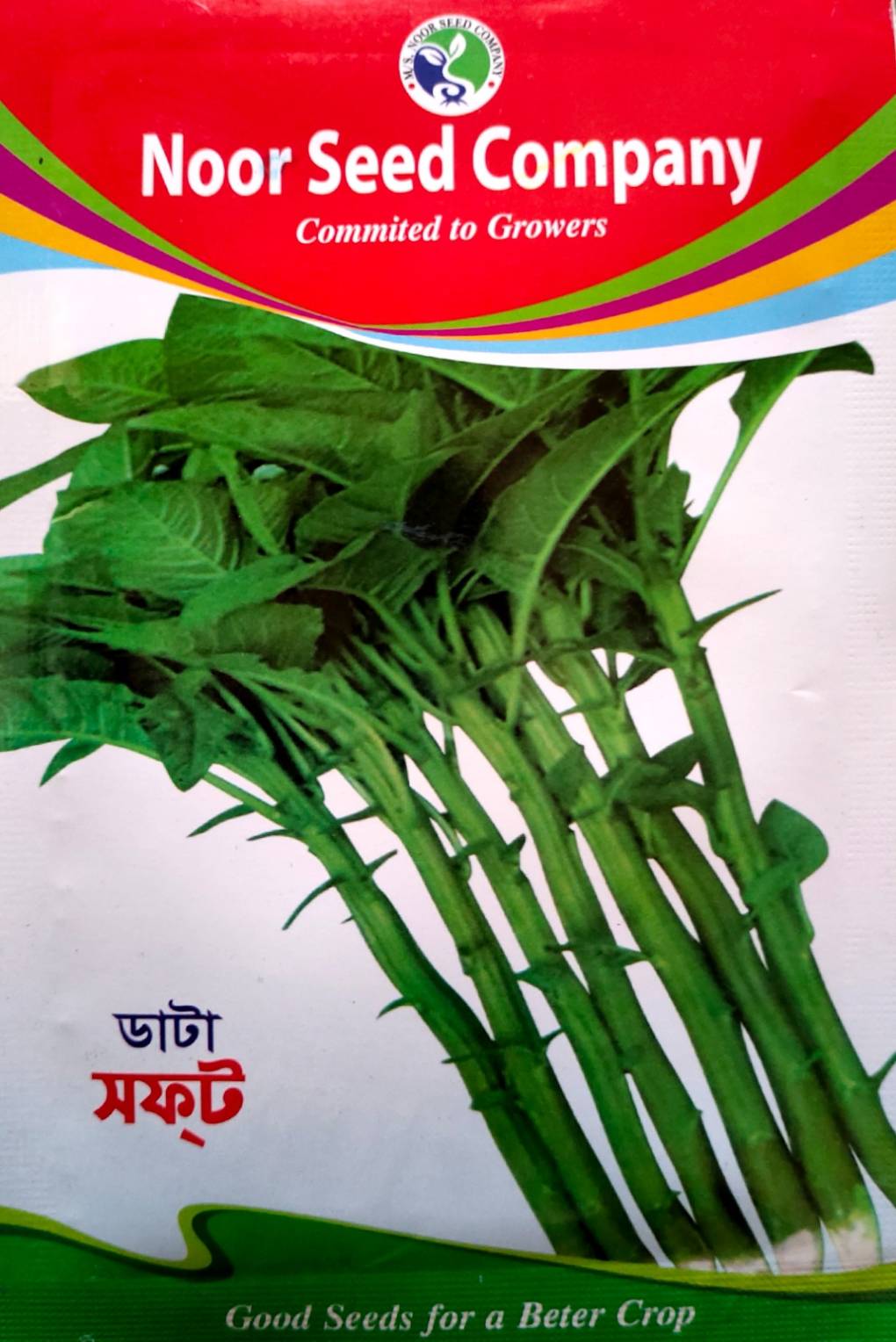 ডাটা সফট